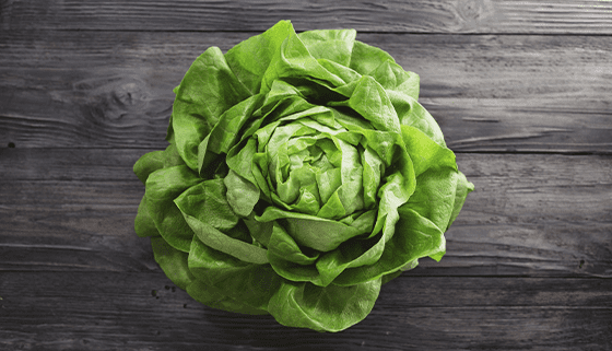 Lechuga ea./Lettuce ea.