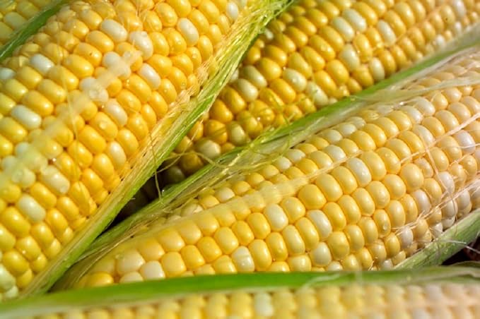 Healthy Harvest Sweet Corn Elote 4 pk. / 20 oz./Elote de maíz dulce Healthy Harvest, 4 unidades.