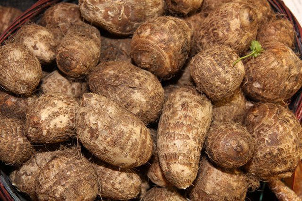 Taro Root per lb./Raíz de taro por libra.
