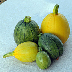 Calabacita Per lb./Zucchini Per pound.