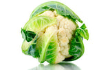 Coliflor Ea./Cauliflower Ea.
