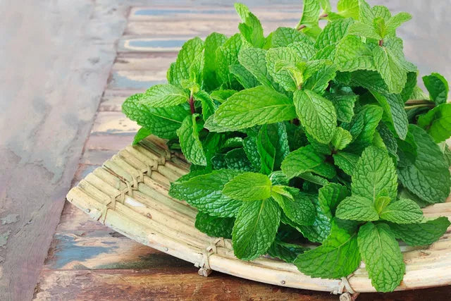 Hierbabuena ea./Peppermint ea.